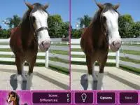Play Horses Differences online for free