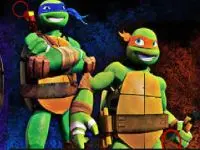 Play Ninja Turtles Differ online for free