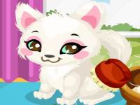 Play Kitten Care online for free