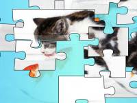 Play Cat and Goldfish Puz online for free