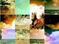 Play Arabian Horse Puzzle online for free