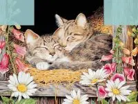 Play Cats Puzzle 2 online for free