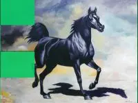 Play Black Horse Puzzle online for free