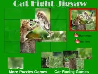 Play Cat Fight online for free