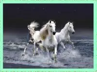 Play Galloping Horses online for free