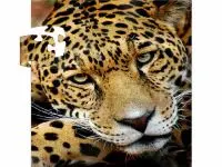 Play Jaguar Puzzle online for free