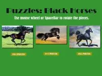 Play Black Horse Puzzles online for free