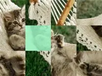 Play Cat in a Hammock - S online for free