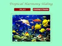 Play Tropical Harmony online for free