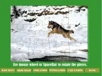 Play Wolf Racing Through online for free