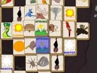 Play Animal Mahjong Conne online for free