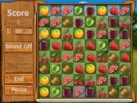 Play Fresh Fruits online for free