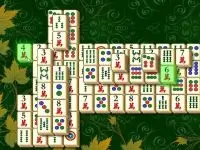 מהגונג טריפל 2 - בית משחקים5
