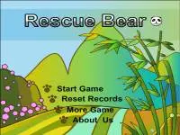 Play Save the Bear online for free