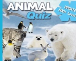 Play Animal Quiz online for free