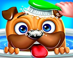 Play My Pet Loki Dog online for free