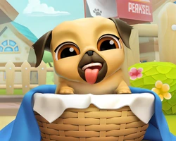 Play Cute Puppy 3D online for free