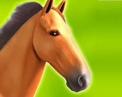 Black Horse Puzzle - 16 Pieces - Games House9