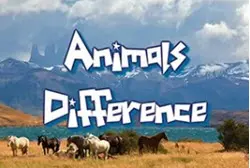 Play Animal Differences online for free