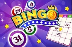 Play Bingo online for free