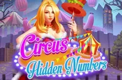 Play Hidden Numbers in th online for free