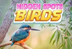 Play Hidden Spots: Birds online for free