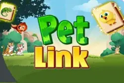 Play Pet Connect online for free