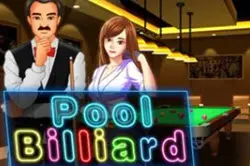 Play Pool Game online for free