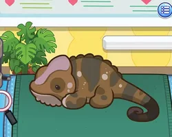 Play Sara Vet Chameleon online for free