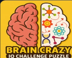 Play Brain Crazy online for free
